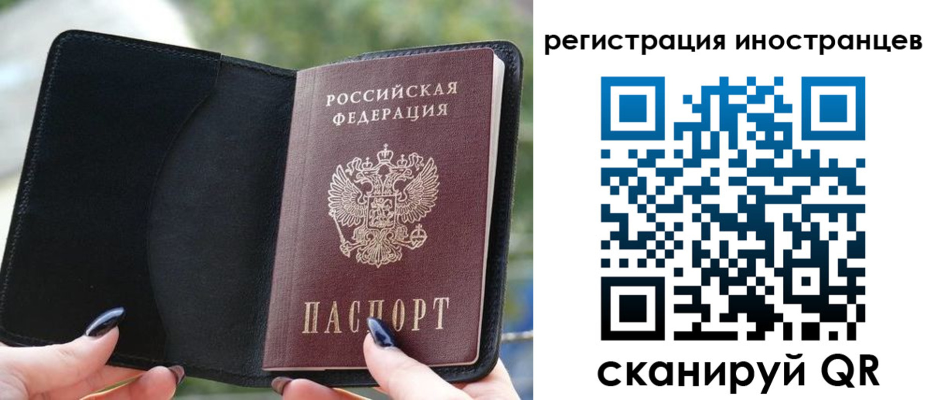 найти адрес прописки в Вольске